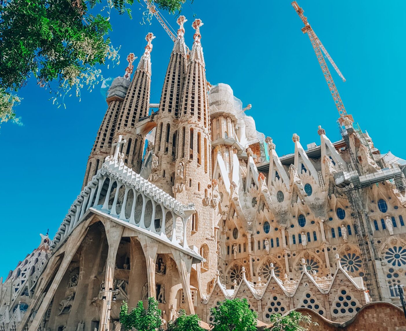 Brown concrete building known as La Sagrada Familia standing tall surrounded by trees