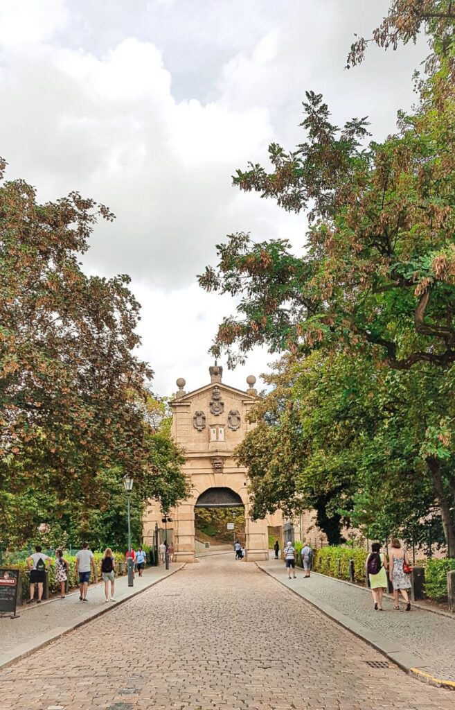 A cobblestone street with a brown concrete arch entryway into Vyšehrad with green trees on either side.