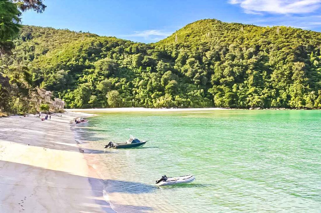 greenish blue water, boats, sandy beach and tall green trees. One of the top attractions in New Zealand