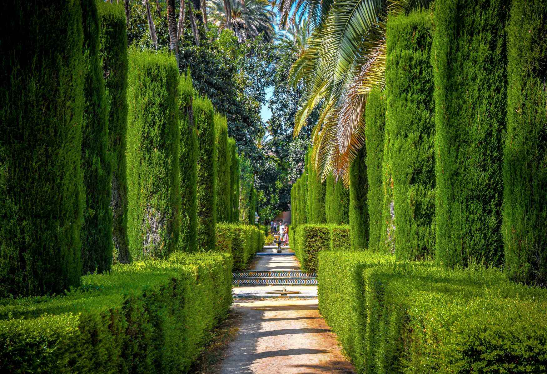 green grass and tress all around with concrete path that has people walking through it