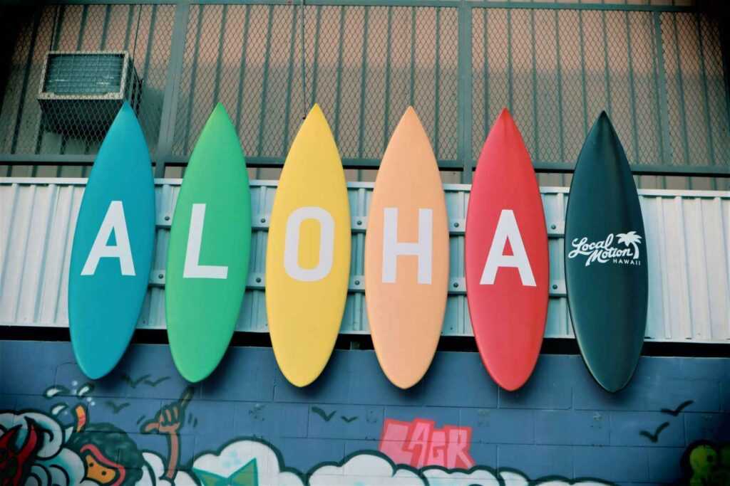 5 colored surf boards hanging on a tin wall