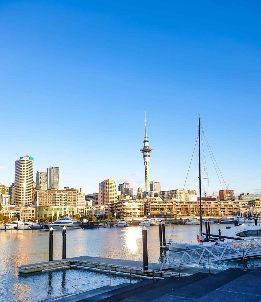 a photo of the city skyline with concrete buildings and a tall concrete tower with a body of water and a small wharf and boats nearby