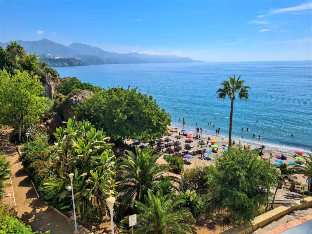 green trees near beach with turquoise blue water where people are swimming and sun bathing on the golden sand