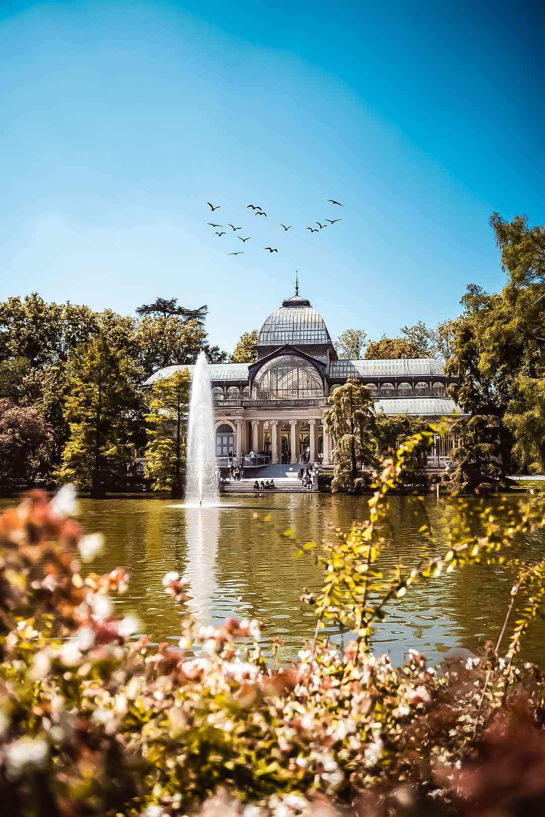 beautiful park looking out at the lake and a fountain with a glass house at one corner and birds flying in the bright blue sky