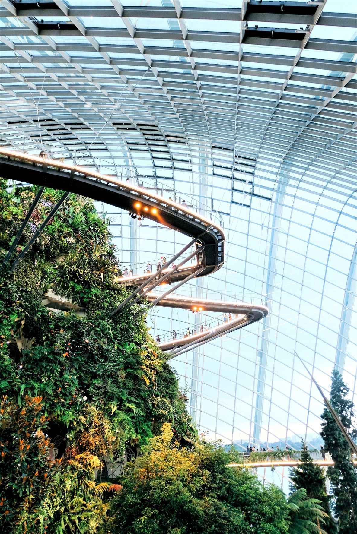 large interior garden with bridges overhanging and plenty of green trees around