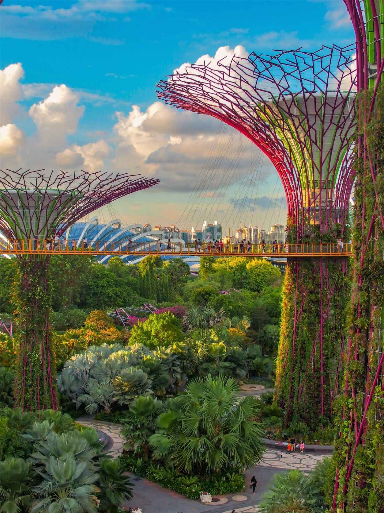 purple tree light with bridge running across and people walking on it. Beauty all around making it one of the top Singapore attractions not to be missed