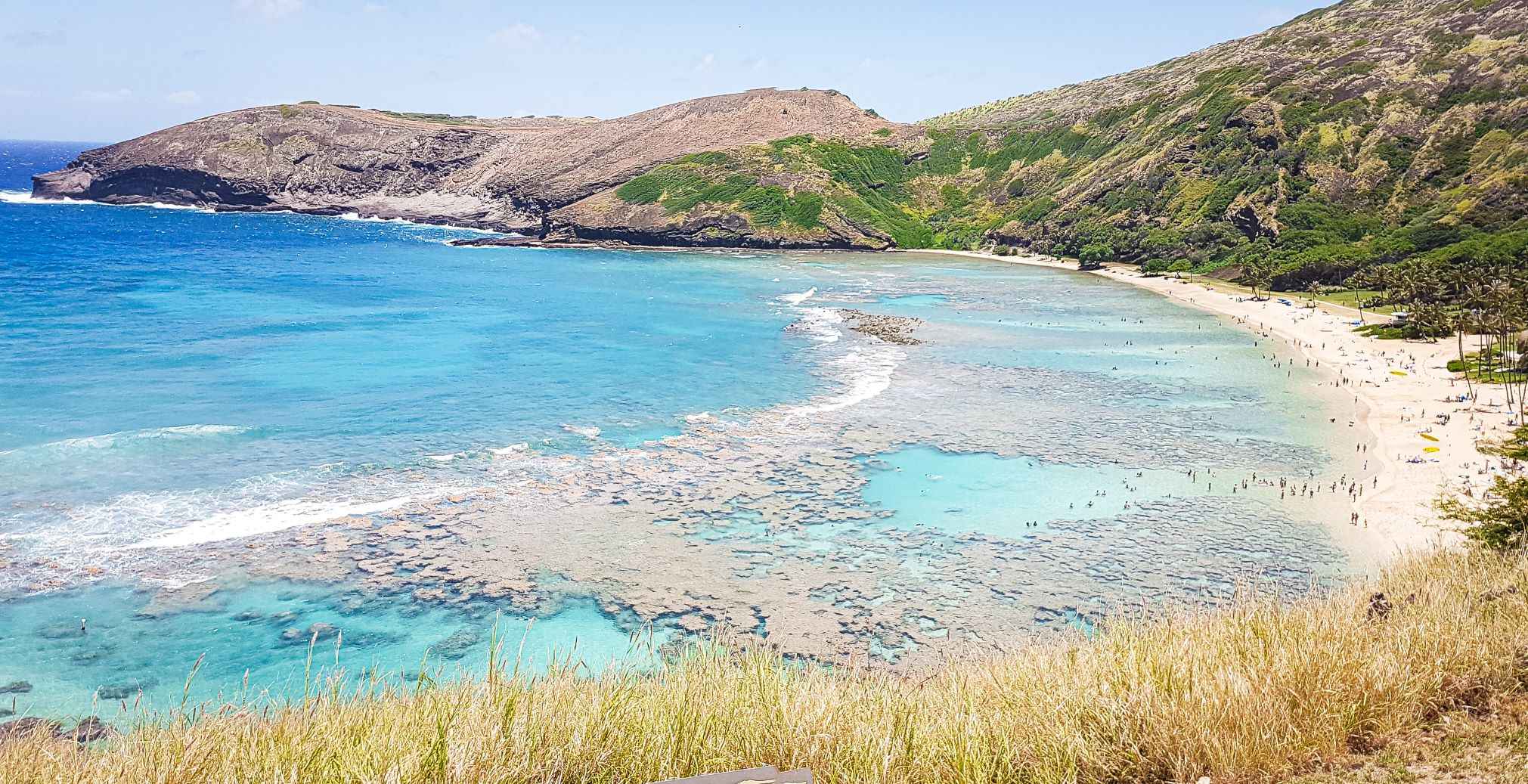 Arial view of Hanauma blue and its pristine blue waters, gold sand and lush green palm trees. People walking on the beach and swimming in the water all during day time. One of the best places to visit in Oahu