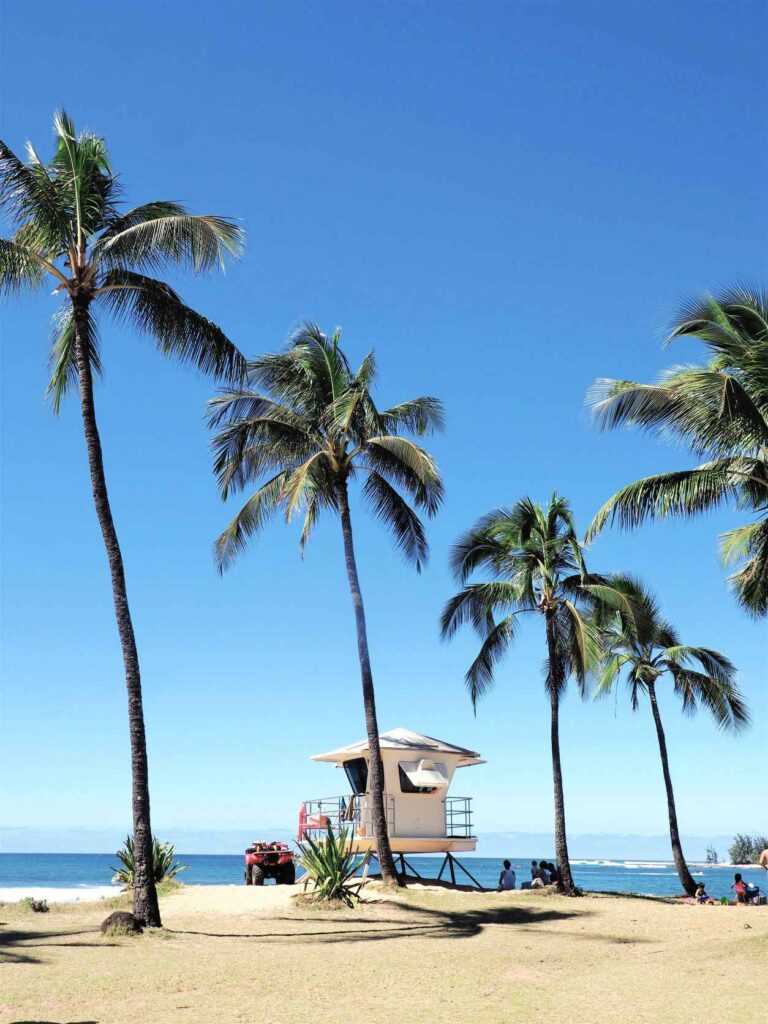 Beautiful beach with small concrete structure on the beach surrounded by palm trees