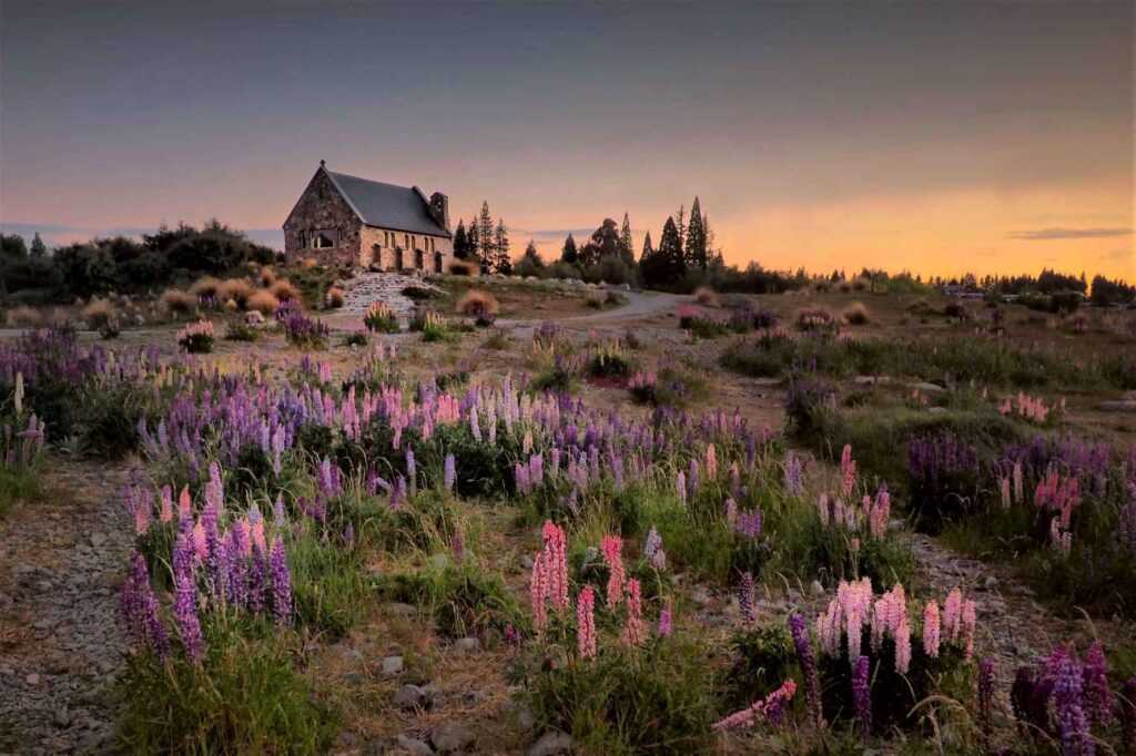 Hut sitting on top of a hill with pebbles and lavender growing all around