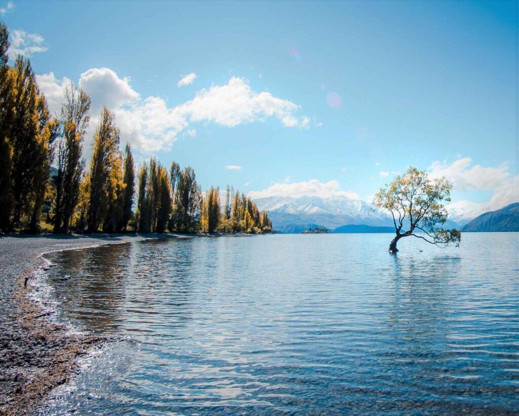 Calm body of water with green tree in the middle and snow capped mountains in the distance. This is one of the top attractions in New Zealand especially when traveling through the south island.