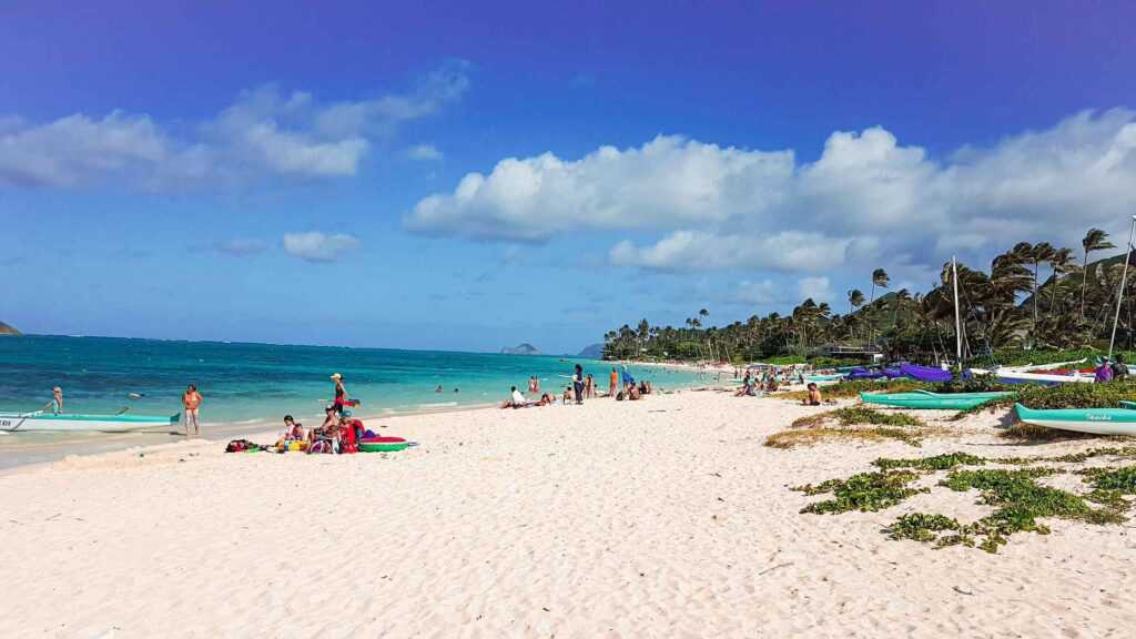 white sands, turquoise waters, people sunbathing and trees surrounding the beach all during daytime. one of the best places to visit in Oahu.