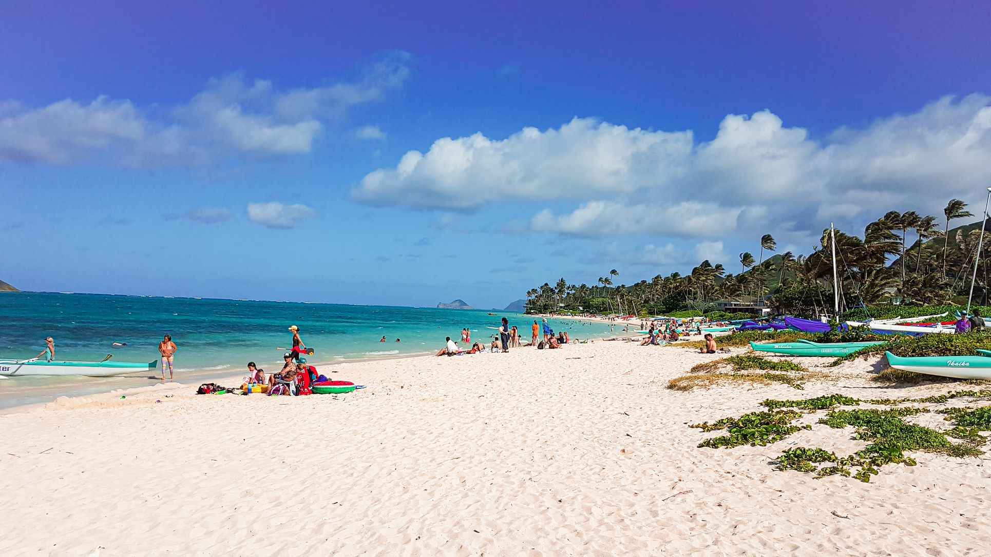 white sands, turquoise waters, people sunbathing and trees surrounding the beach all during daytime