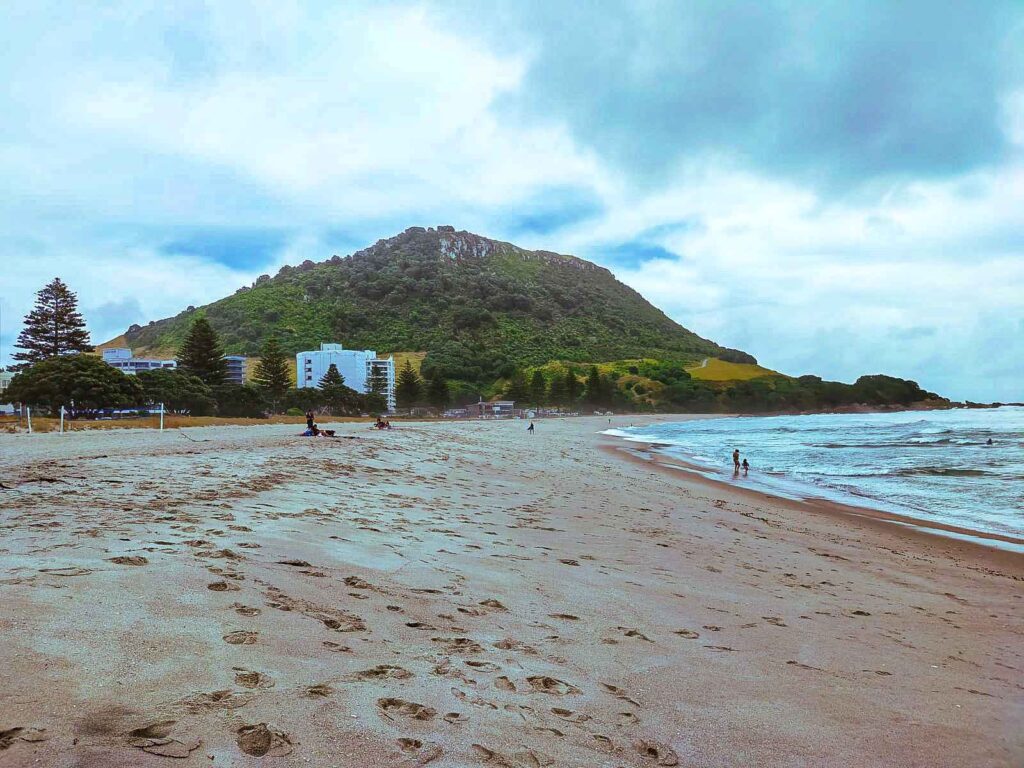 tall brownish green mountain, sandy beach and water