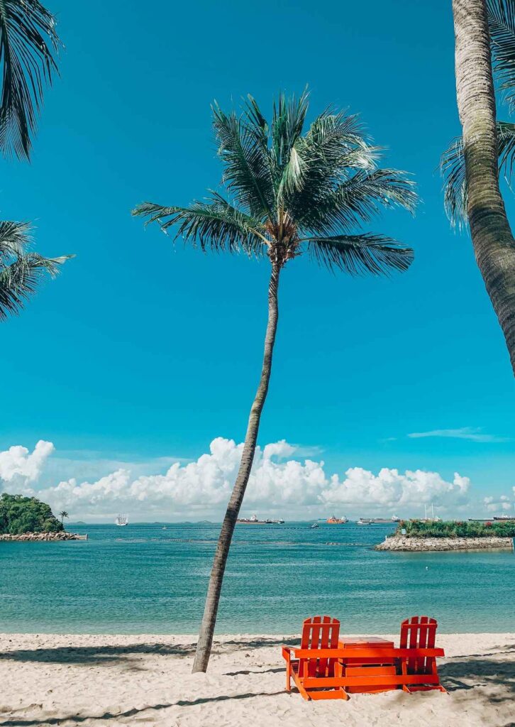 palm tree near body of water and orange bench during daytime. One of the top Singapore attractions not to be missed