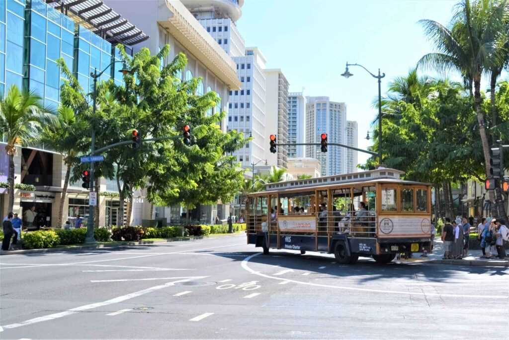 brown bus on road near green trees and concrete buildings during daytime