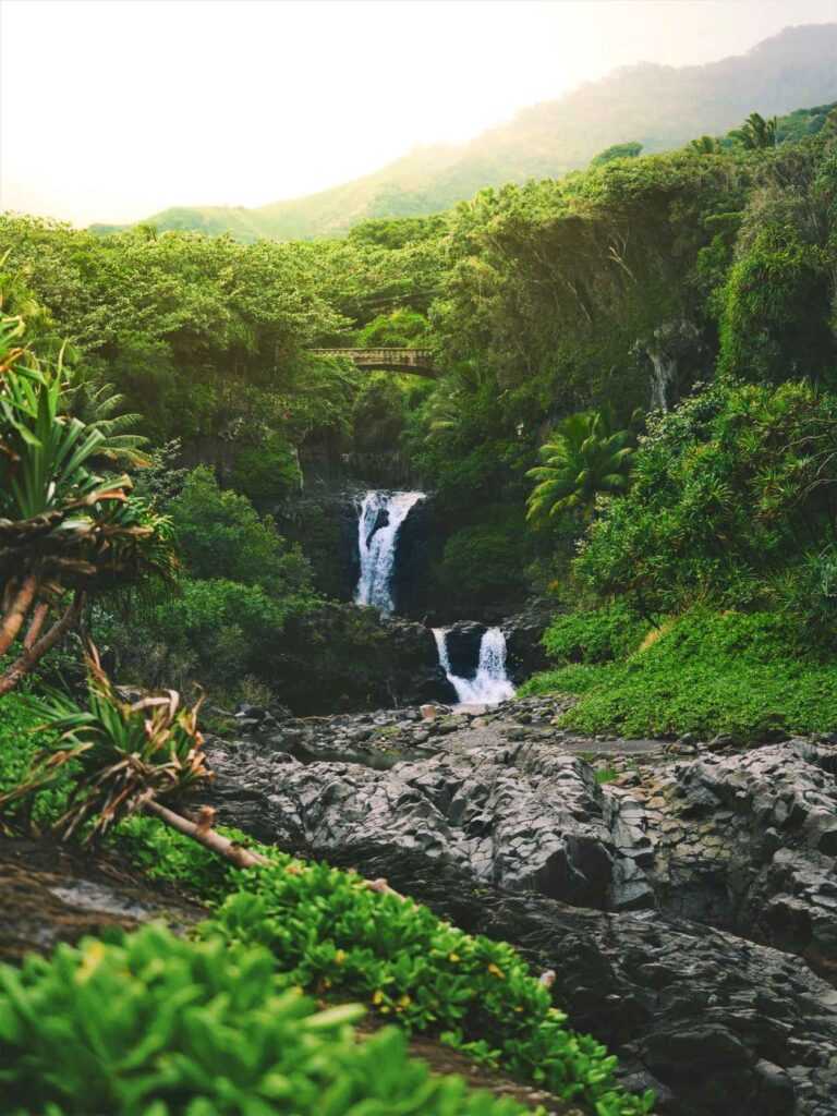 waterfall surrounded by lush greenery and brown rocks during daytime. one of the top places to visit in Oahu