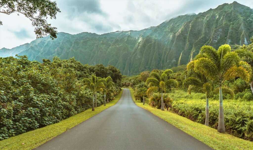 concrete road near green trees and mountains during daytime. One of the top free things to do in Oahu