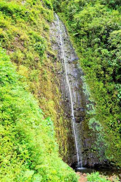 green grass, trees and a waterfall during daytime