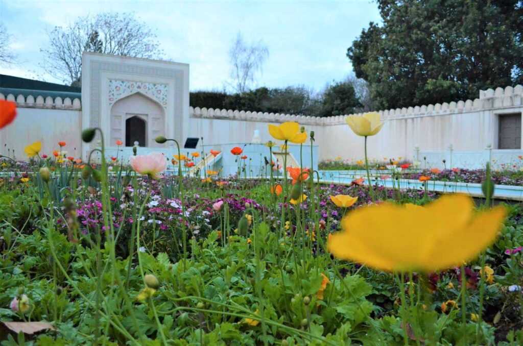 beautiful gardens with colorful flowers during daytime. One of the top attractions in Newzealand, especially if you love gardens