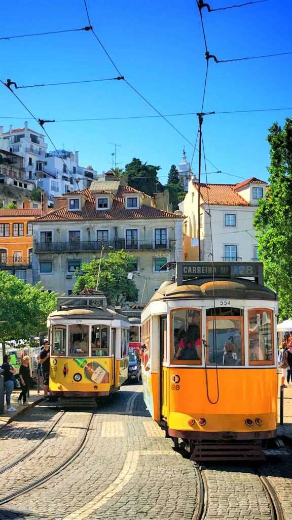 Two yellow trams on the street, with houses around the street, during daytime 