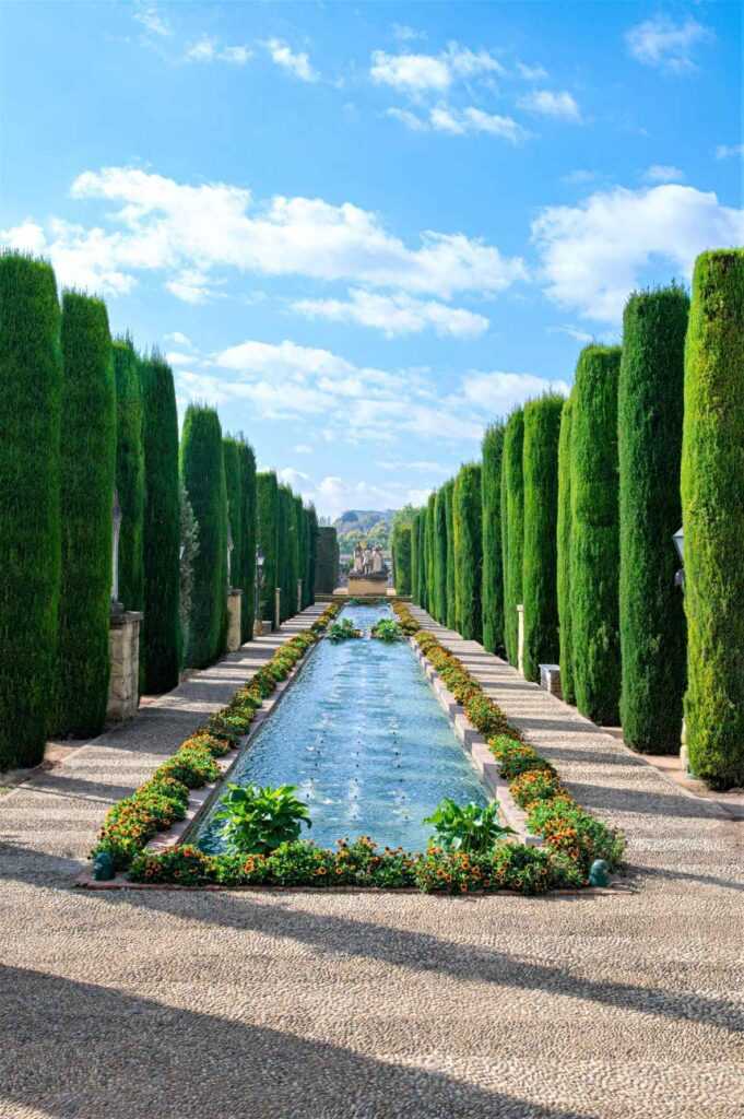 Calm body of water surrounded by tall green trees