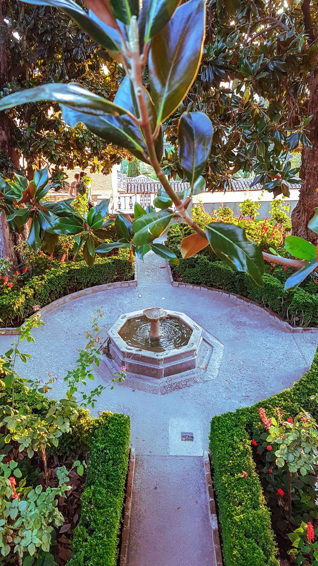 green plants and trees with a fountain in the centre during day time