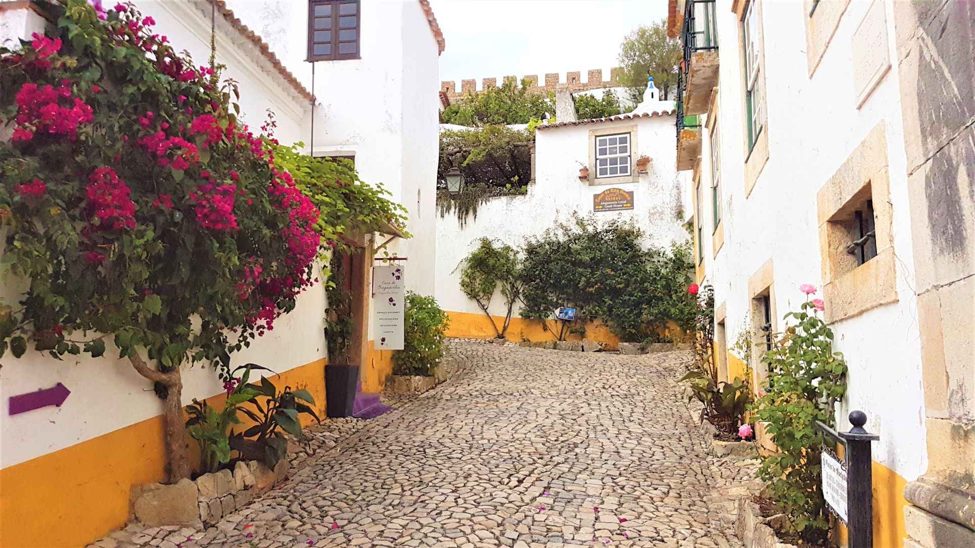 White washed houses on cobbled stone streets with beautiful pink flowers around during daytime