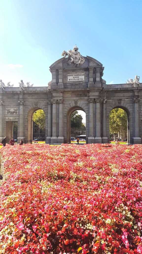 pink flowers in front of concrete arch like structure during day time