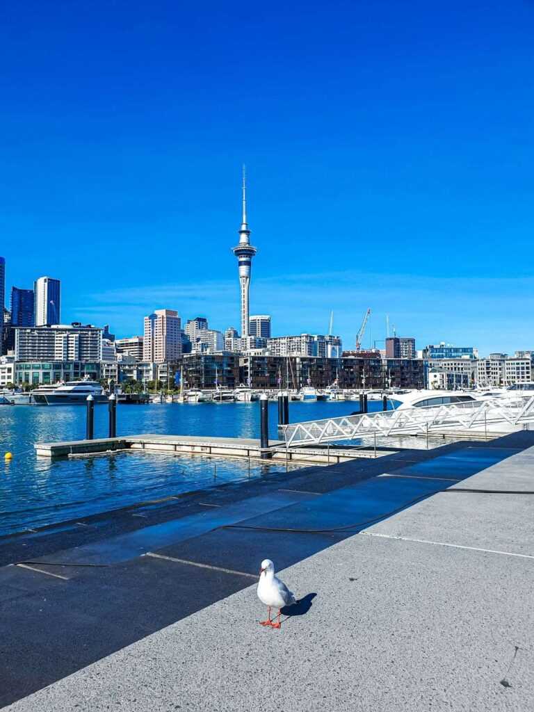 Landscape of city with concrete buildings and tall tower behind water during daytime