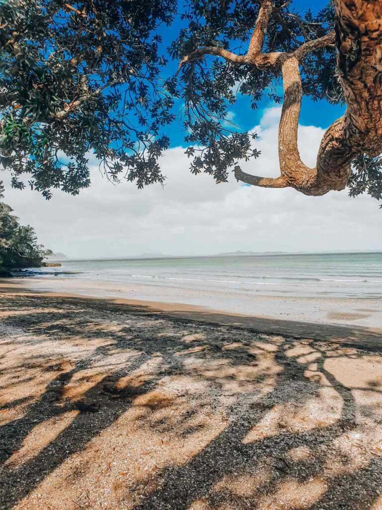 Beautiful beach during daytime