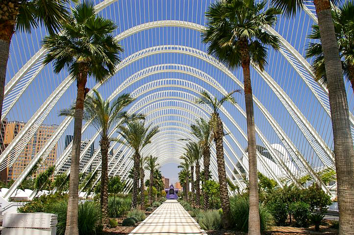 Palm trees and plants in dome environment during daytime