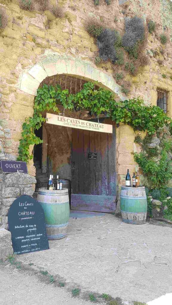 Entry to a Wine Cellar with green vines and 2 barrels on the outside