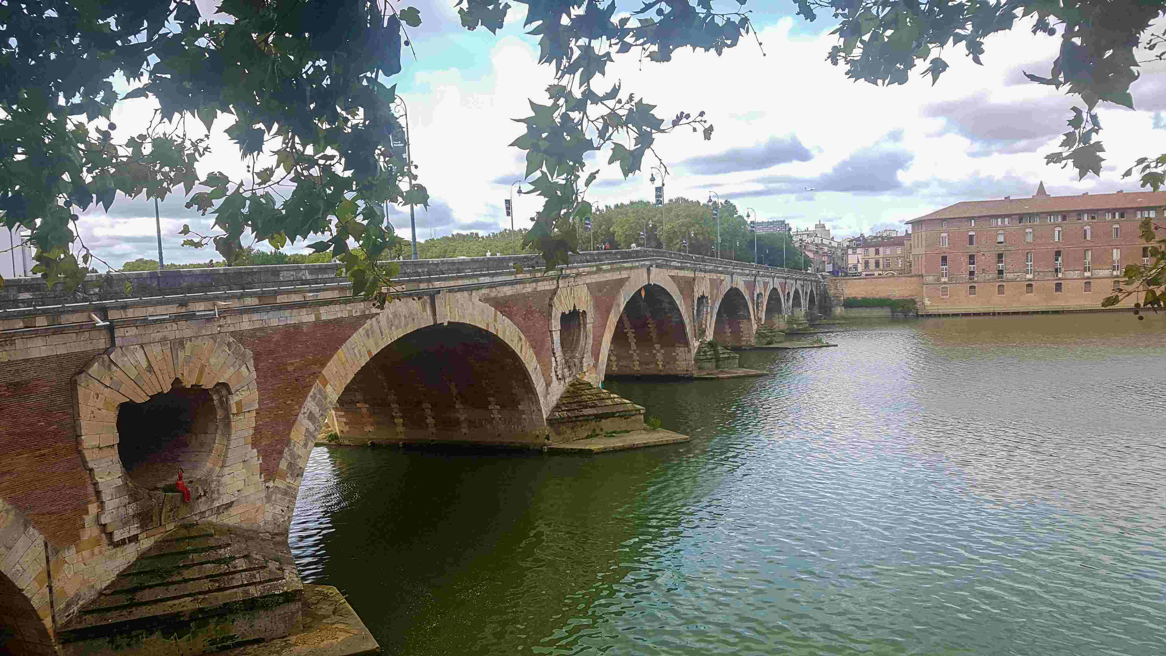 pinkish bridge over water and leaves hanging over trees during day time