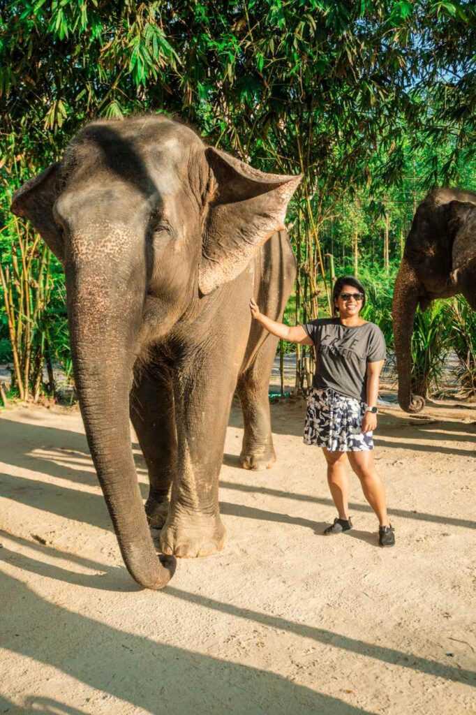 Woman Standing next to  brown elephant surrounded by trees during day time