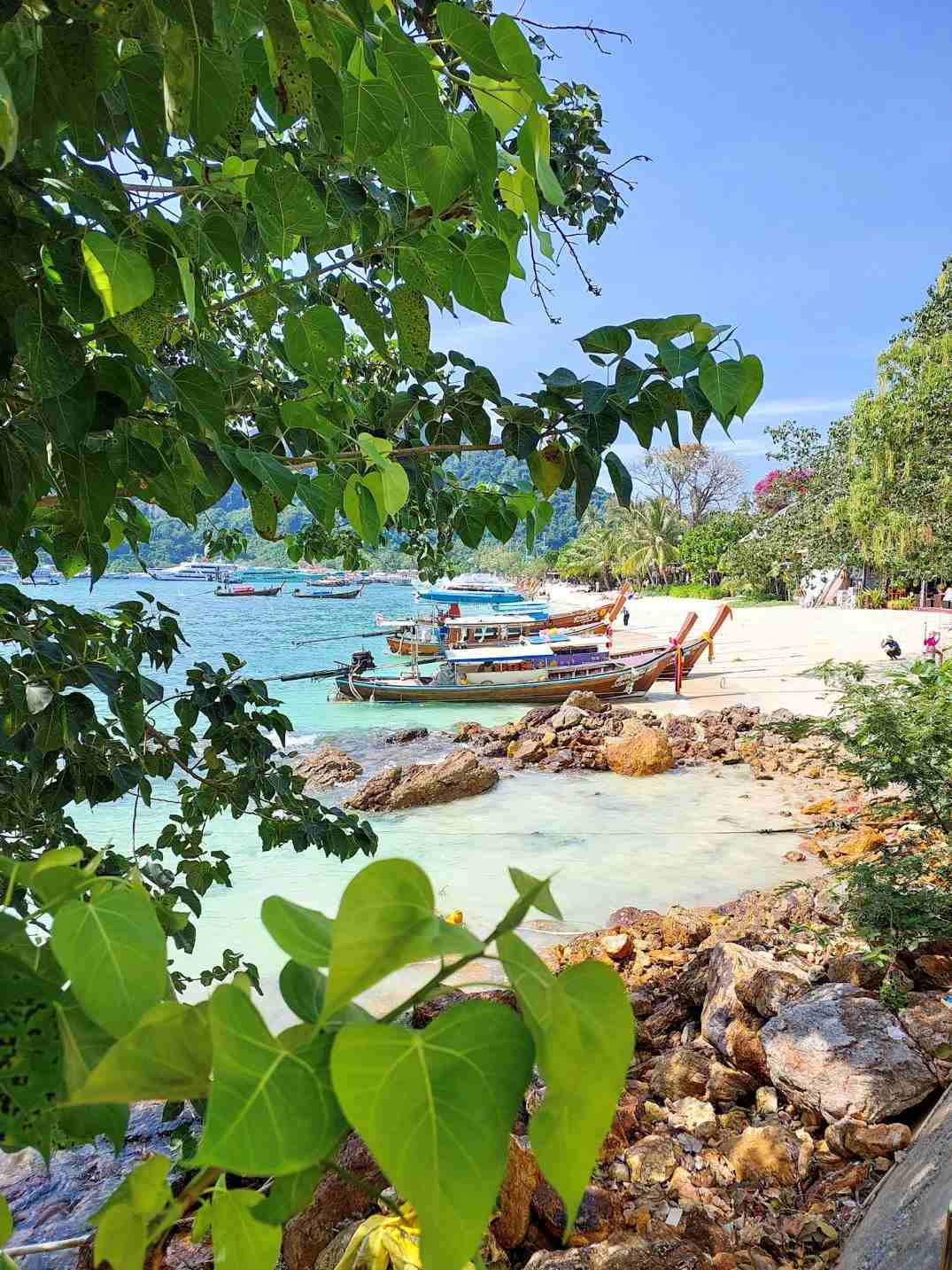 blue turquoise water with wooden boats surrounded by greenary during daytime