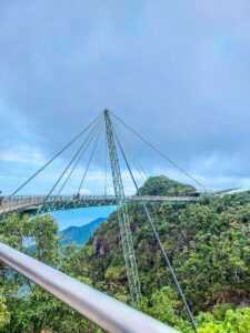 cantilevered bridge surrounded by trees during daytime