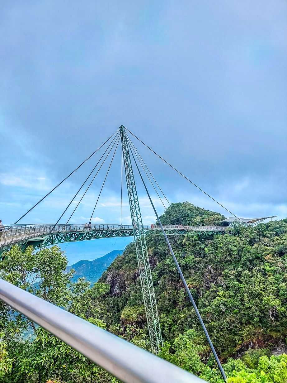 cantilevered bridge surrounded by trees during daytime