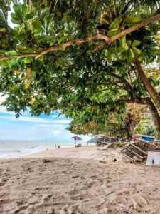 beach during daytime