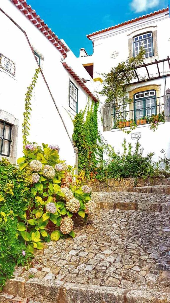 white washed houses sourrounded by greenary during daytime