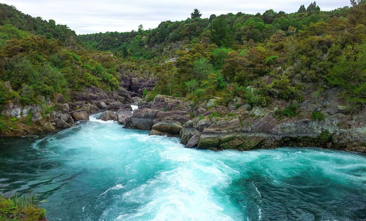 Beautiful blue water gushing down a river surrounded by trees during daytime
